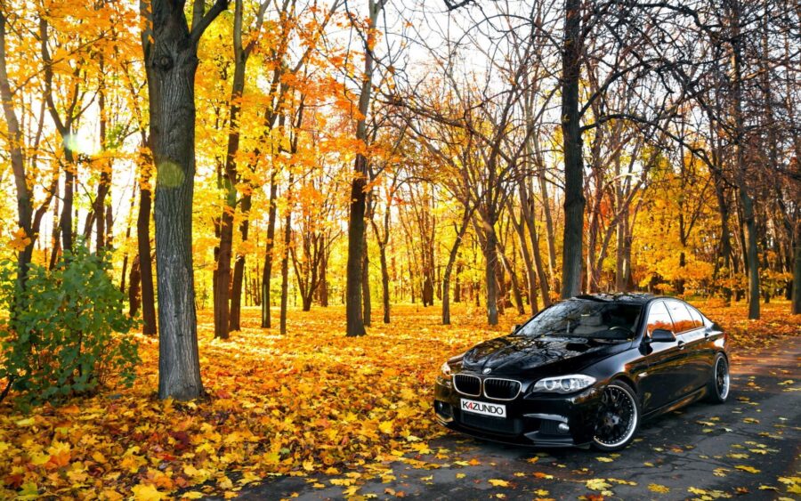 BMW: Autumn Elegance Drive Wallpaper