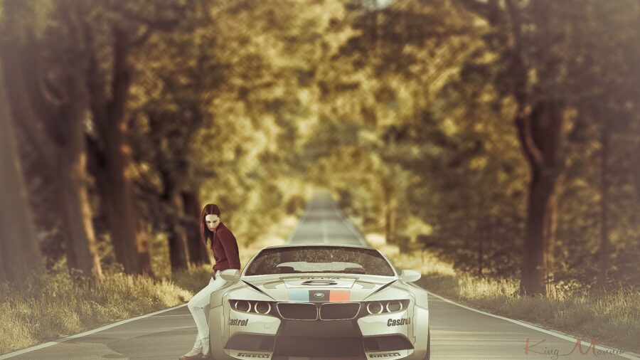 BMW: Autumn Drive with Stylish Companion Wallpaper