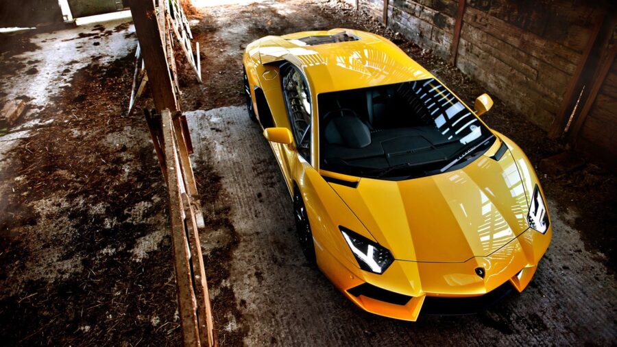 Lamborghini: A Golden Beast in Hiding Wallpaper