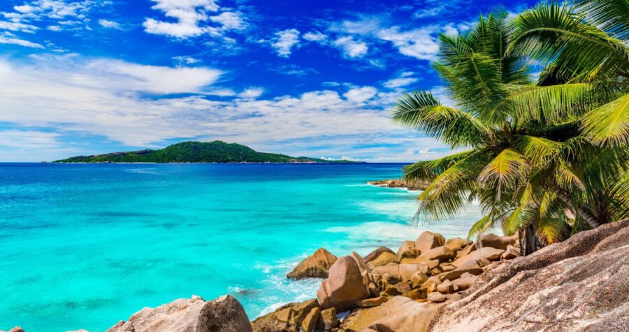 Summer: Tropical Paradise Beach Escape Wallpaper