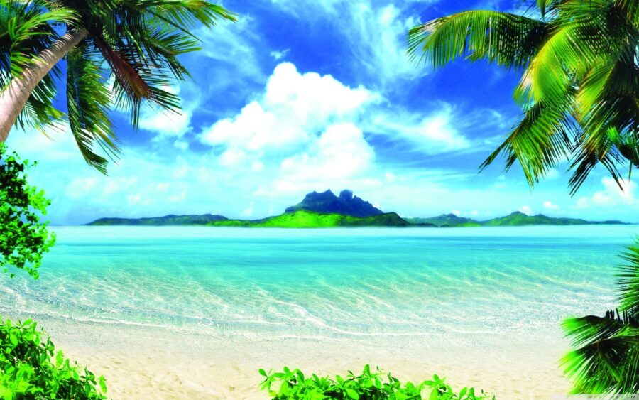 Summer: Tropical Island Bliss Wallpaper