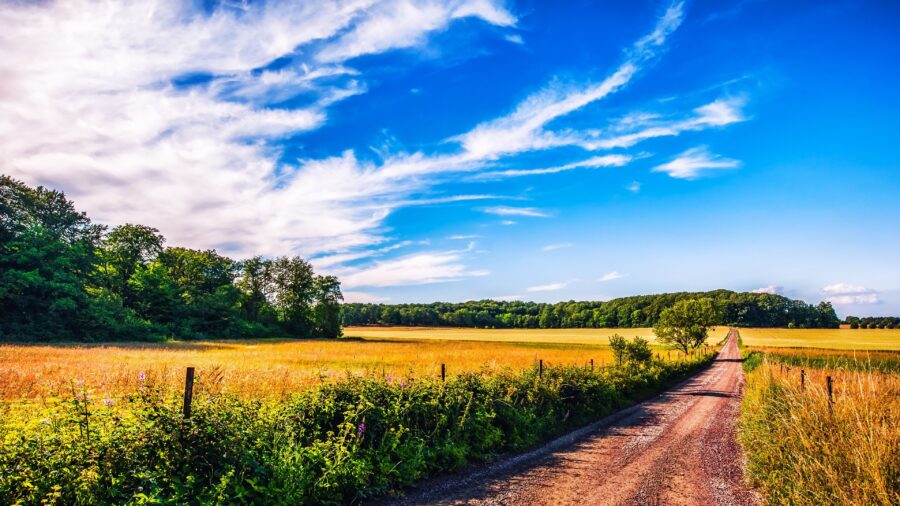 Summer: Rustic Country Road Journey Wallpaper